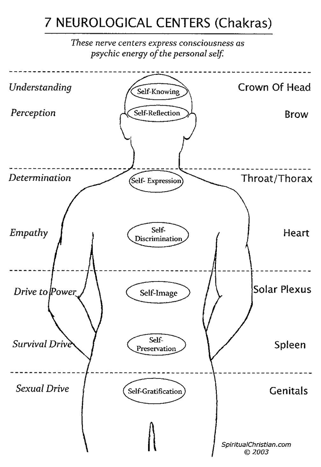 Description: Description: Description: Description: 4-fold HumanBody